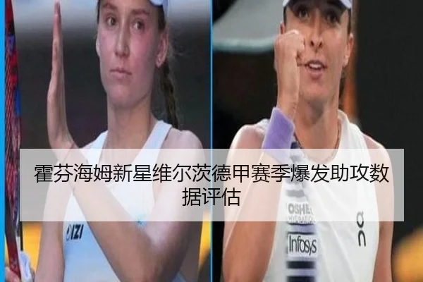 霍芬海姆新星维尔茨德甲赛季爆发助攻数据评估 - kaiyuan